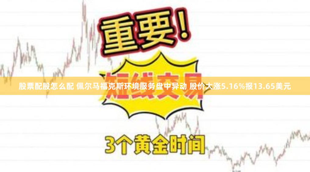 股票配股怎么配 佩尔马福克斯环境服务盘中异动 股价大涨5.16%报13.65美元