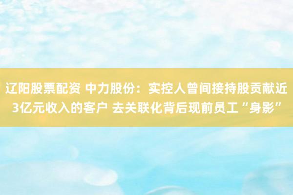 辽阳股票配资 中力股份：实控人曾间接持股贡献近3亿元收入的客户 去关联化背后现前员工“身影”